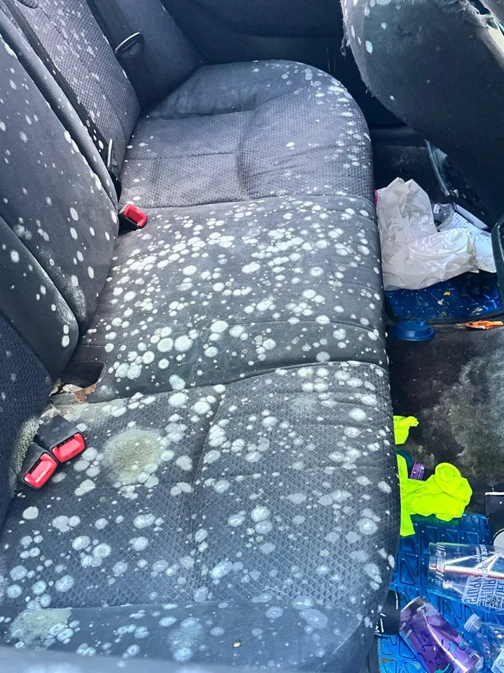 Rear seat covered in mold before cleaning