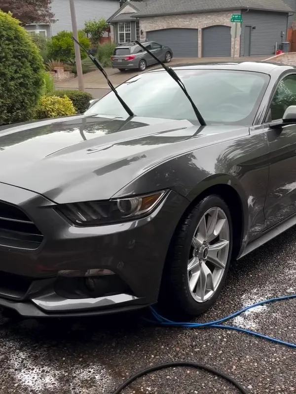 Mustang after detail